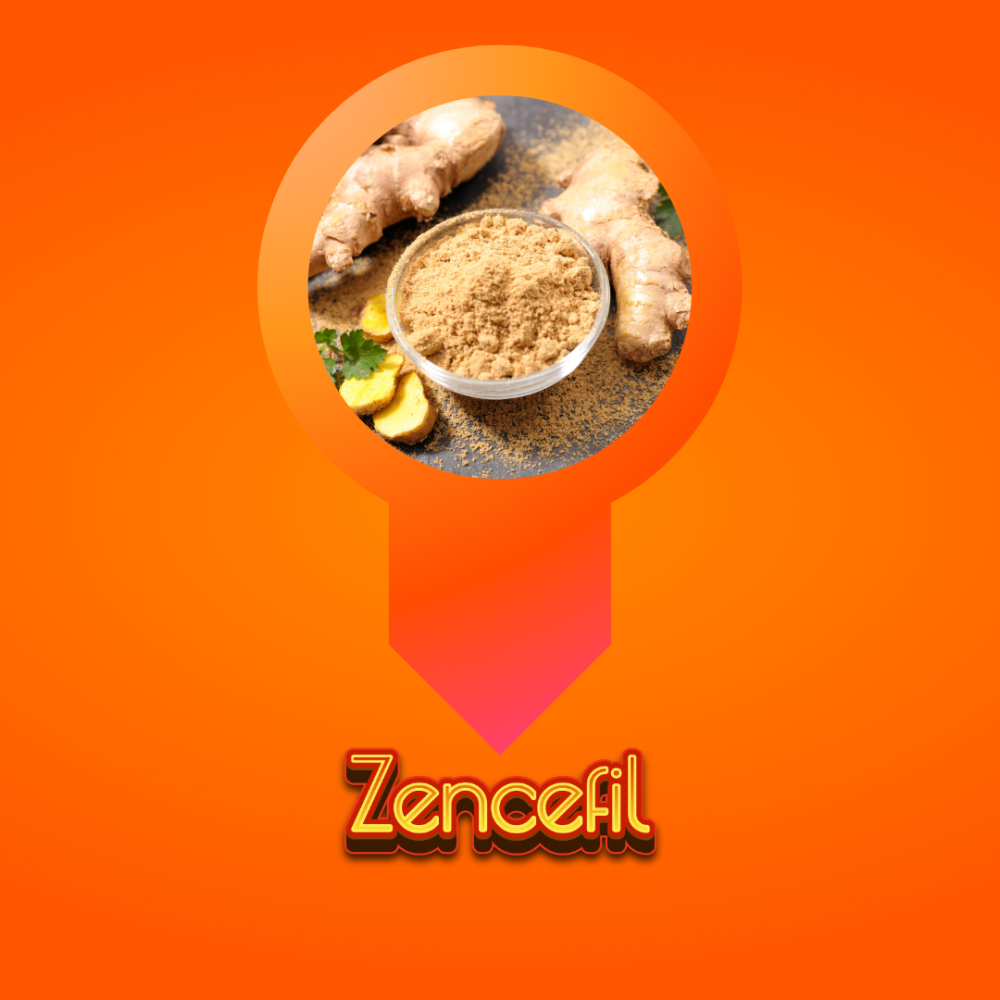 Neden Zencefil (Gingerol) Kullanmalıyız? Gingerol Faydaları