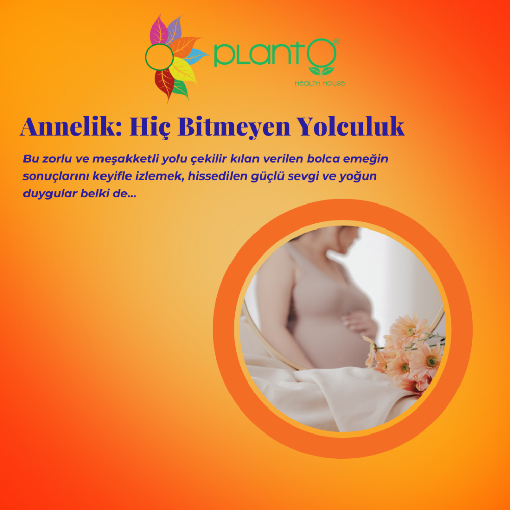 Annelik: Hiç Bitmeyen Yolculuk!