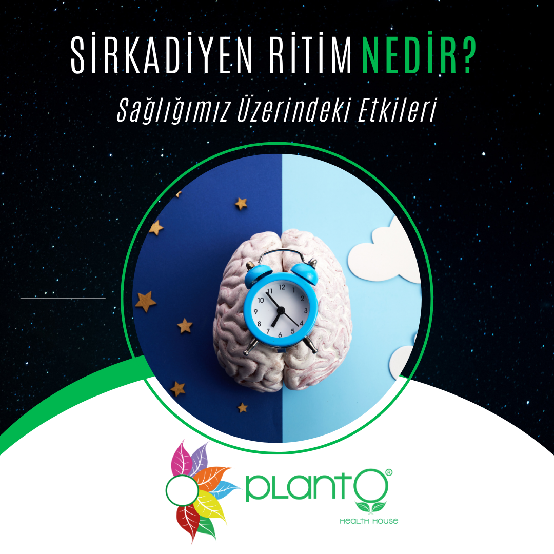Sirkadiyen Ritim ve Sağlığımız Üzerindeki Etkileri