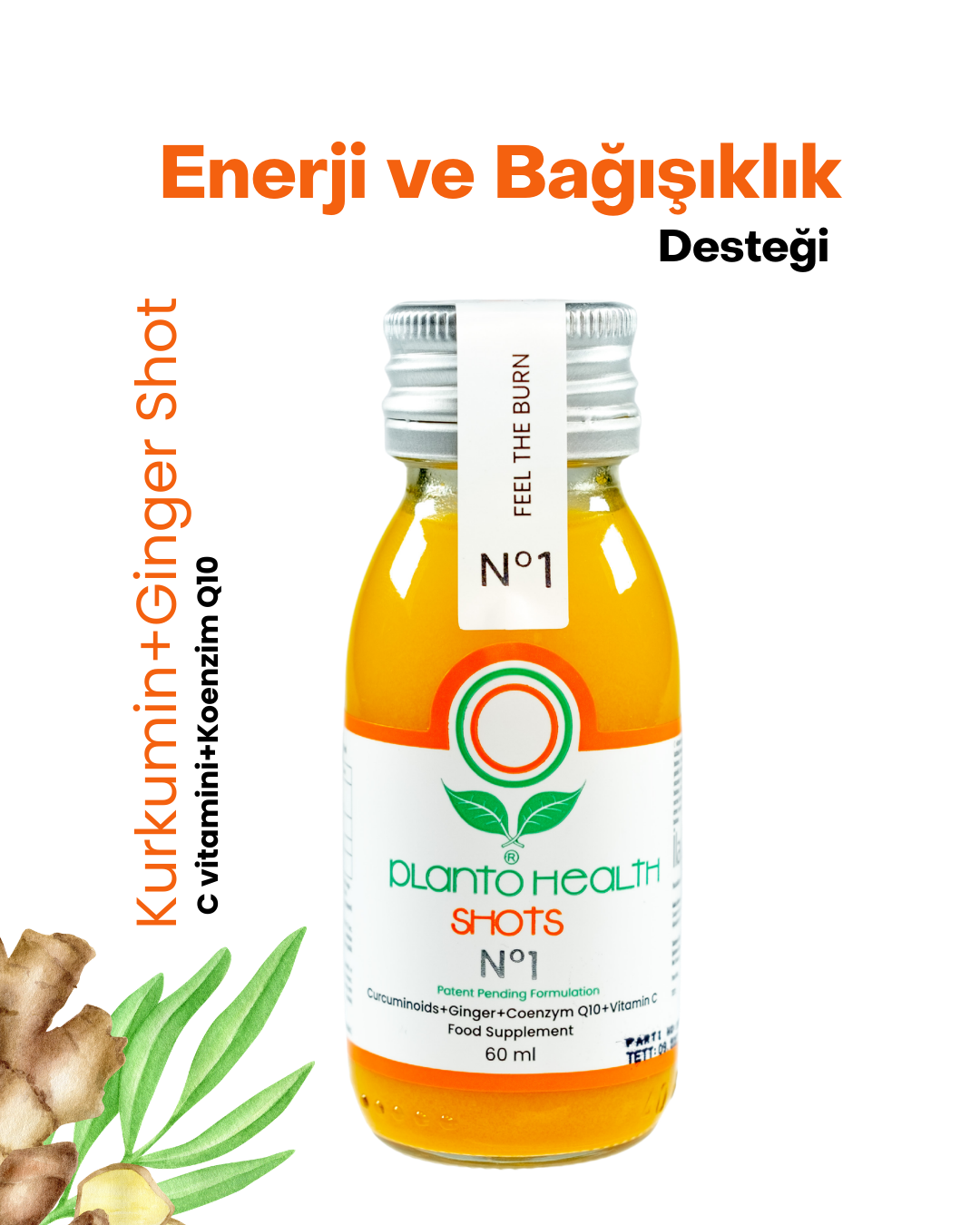 PlantoHealth Shots No.1: Kurkumin+Ginger Shot + Vitamin C + Koenzim Q10 